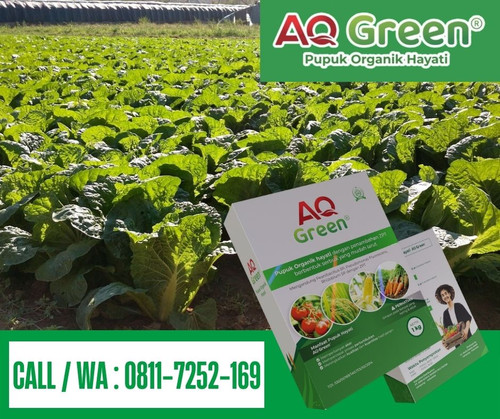 BELI SEKARANG, Call WA 0811 7252 169 Distributor pupuk organik daun di Lampung Timur.jpg