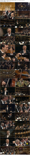 Europakonzert.2002.Live.from.Palermo.BluRay.1080p.DTS HD.MA.5.1.Flac.x265.10bit BeiTai preview.jpg