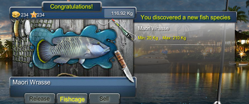 maoriwrassemax.png