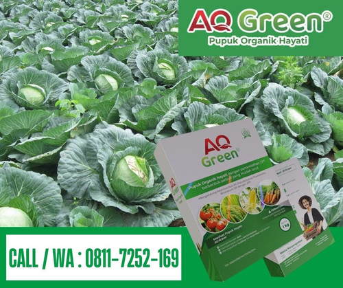 SUPER SUBUR, Call WA 0811 7252 169 Jual pupuk organik em4 di Lampung Timur.jpg