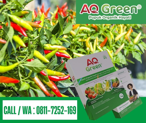 PALING LARIS, Call WA 0811 7252 169 Supplier pupuk organik cangkang telur di Lampung Timur.jpg