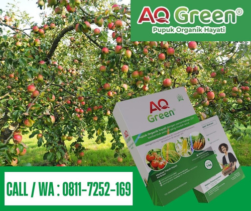 PUPUK TERBAIK, Call WA 0811 7252 169 Grosir pupuk organik eco farming untuk padi di Lampung Timur.jpg