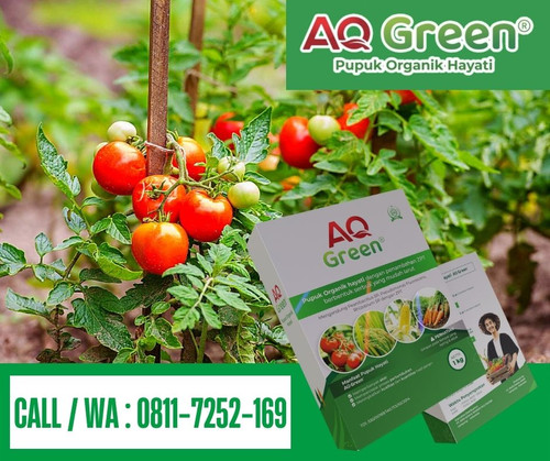 PRAKTIS,Call WA 0811 7252 169 Distributor pupuk organik air cucian beras di Lampung Timur.jpg