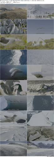 BBC.Frozen.Planet.II.2022.EP04.UHD.BluRay.2160p.TrueHD.Atmos.7.1.x265.10bit.HDR BeiTai preview.jpg