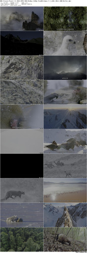 BBC.Frozen.Planet.II.2022.EP03.UHD.BluRay.2160p.TrueHD.Atmos.7.1.x265.10bit.HDR BeiTai preview.jpg