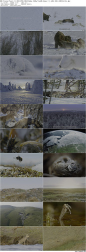 BBC.Frozen.Planet.II.2022.EP05.UHD.BluRay.2160p.TrueHD.Atmos.7.1.x265.10bit.HDR BeiTai preview.jpg