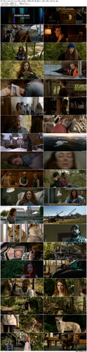 The.Wolf.and.the.Lion.2021.BluRay.1080p.DTS HD.MA5.1.x265.10bit BeiTai preview.jpg