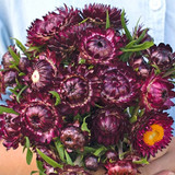 img002483.jpg