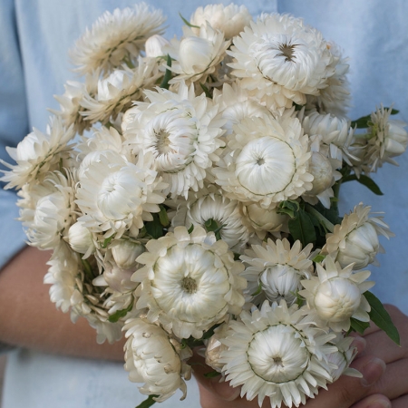 img002928.jpg