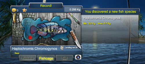 haplochromis chromogynosmax