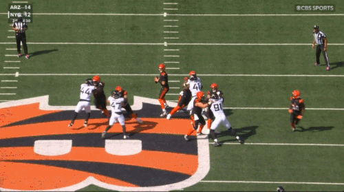 GIF 10 4 2026 1 13 20 PM.gif