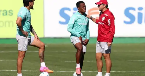 Gómez, Flaco e Arias assumem liderança e pilares de Abel no Palmeiras