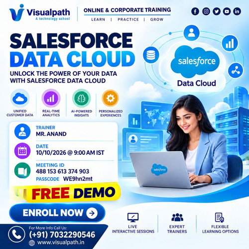 Salesforce Data Cloud Training Ameerpet | Corporate Training.jpg