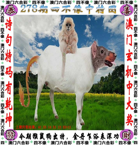 amsbx.jpg