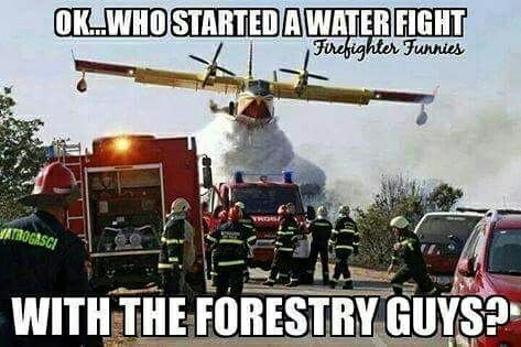 Forestry Guys.jpg