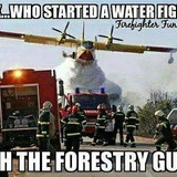 Forestry Guys