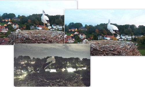 Bilder11.jpg