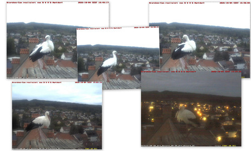Bilder10.jpg