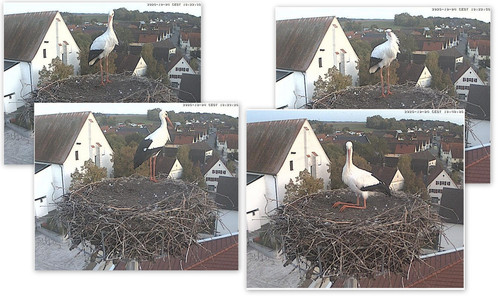 Bilder5.jpg