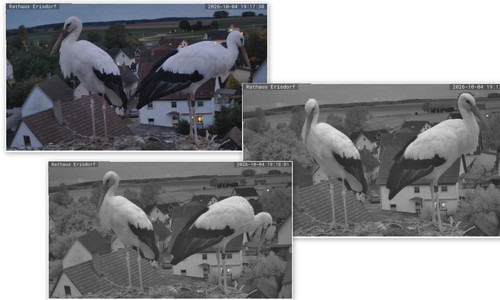 Bilder6.jpg