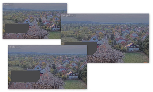 Bilder8.jpg