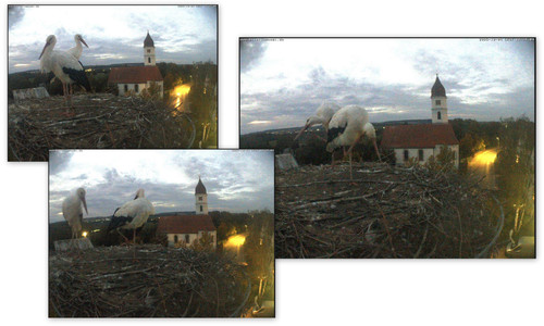 Bilder7.jpg