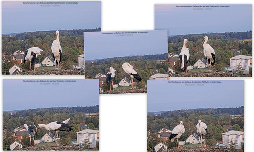 Bilder9.jpg