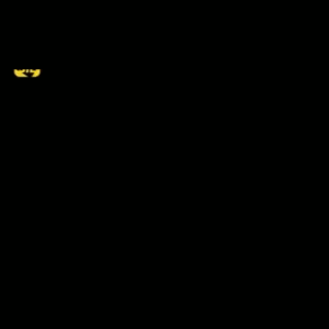 IMG 2735.gif
