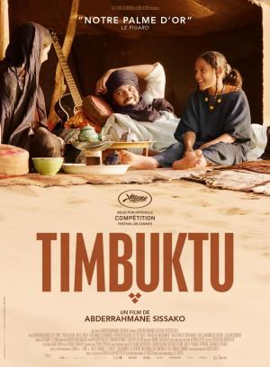 07 le chagrin des oiseaux timbuktu.jpg