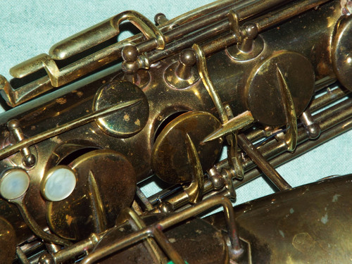 DSCF4437.jpg