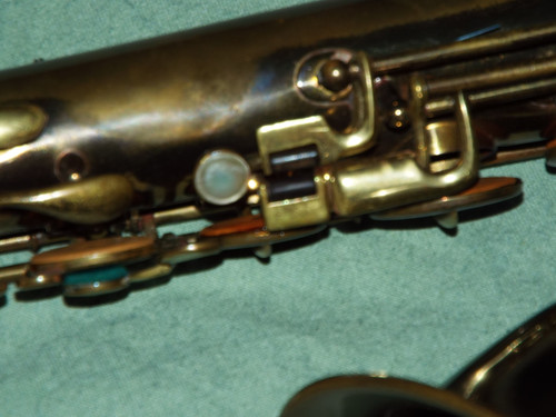 DSCF4451.jpg