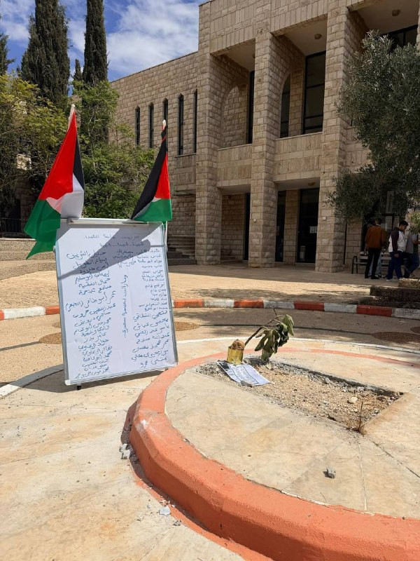 صورة الخبر