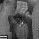 4.gif