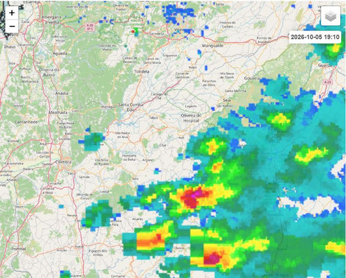 dfggjhm.jpg