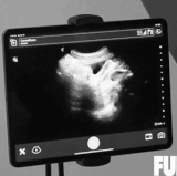 30.gif