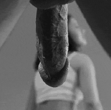 14.gif