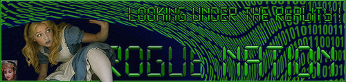 DigiAliice Banner.jpg