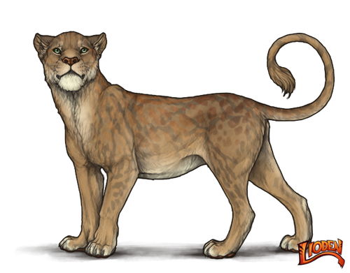 lioden wardrobe (1).png