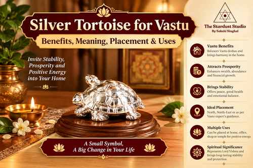 Shop Pure Silver Tortoise Online at Best Price | The Stardust Studio.2