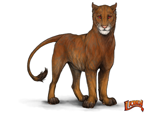 lioden wardrobe (5).png