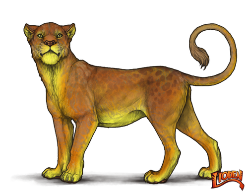lioden wardrobe (6).png