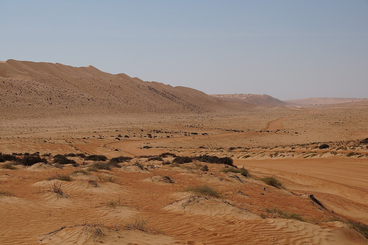 Golvende oranje zandduinen in de woestijn Wahiba Sands in Oman