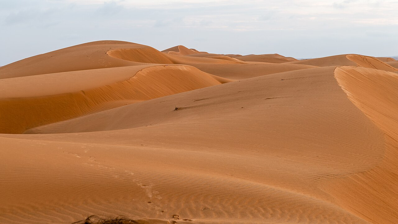 Golvende zandduinen in Wahiba Sands, waar luxe woestijnkampen liggen