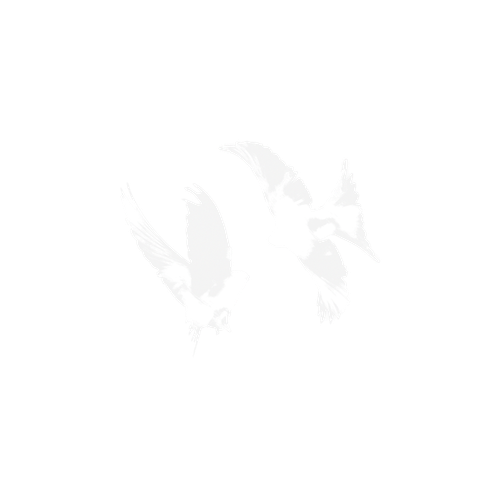 IMG 2257.png