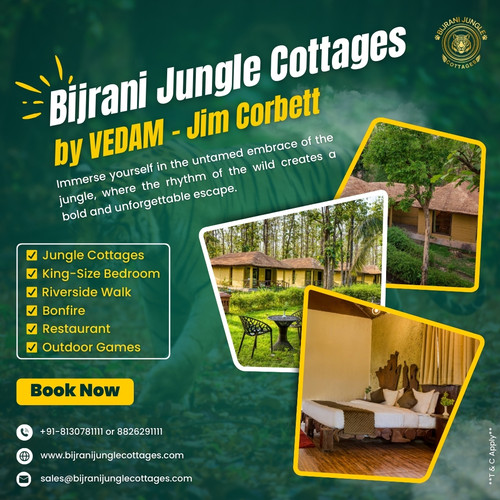 Bijrani Jungle Cottages in Jim Corbett – A Peaceful Forest Escape.1