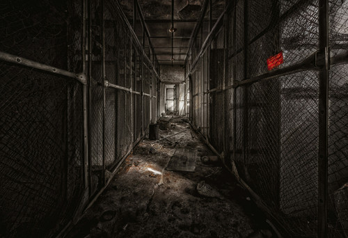 peter herrmann N4xUYcWObYU unsplash.1