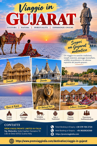 Viaggio in Gujarat.jpg