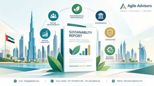 Sustainability reporting consultant.jpg