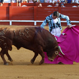 n24eD2p.th.jpg