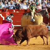 n24eLCJ.th.jpg